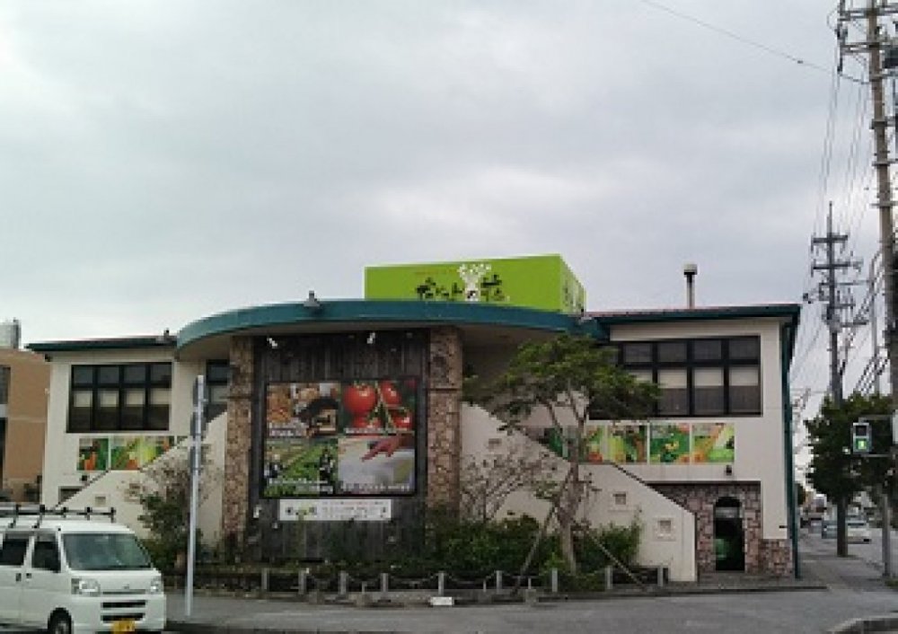 2014年 1月 1日　沖縄市『だいこんの花　美里店』で稼動しました！