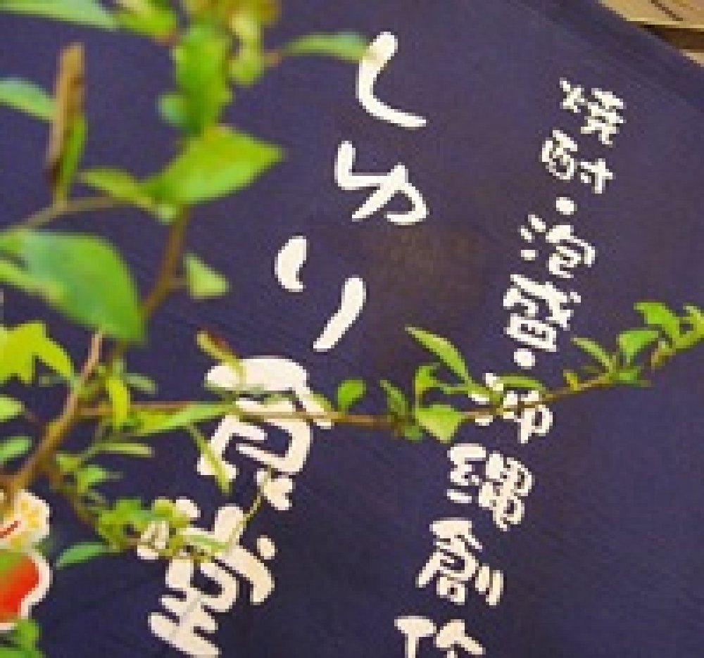 2014年 1月22日　神奈川県横浜市『しゅり食堂』で稼動しました！